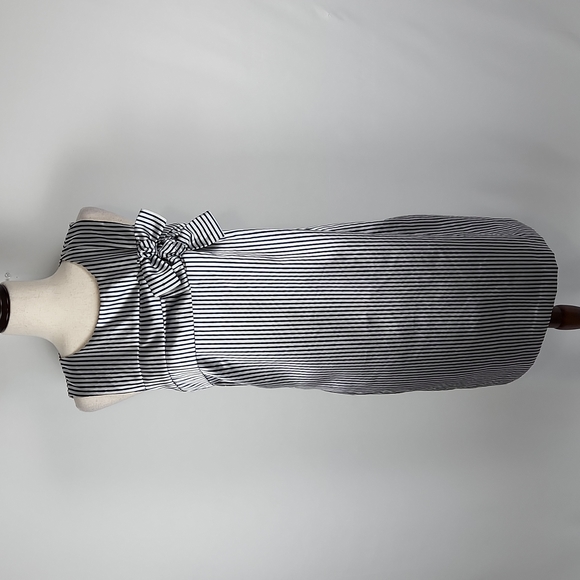 NWOT Banana Republic Preppy Navy and Metallic Silver Stripe Shift Dress Size 12 - Picture 3 of 16